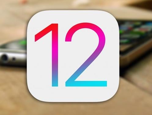 ƻ�����û�����iOS 12.2�����������beta