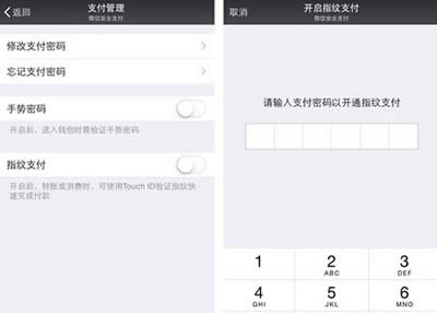 ΢��6.2ָ��֧�������������