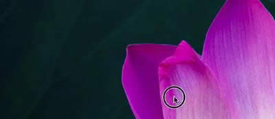 Quicktime playerת����ʽͼ����ϸ�̳�