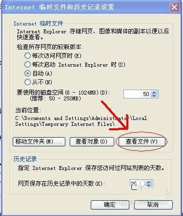 IE�в��ŵ���Ƶ������أ�