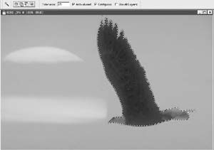 �콭ˮ�ϵ�ӥ PhotoshopѸ�ٶȽ���
