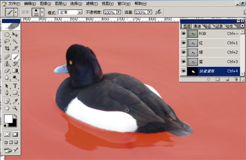 ǧ����ѡ����Photoshop�е�ѡ����