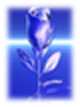 �����Photoshop����ͼƬ��Ӱ�İױ�