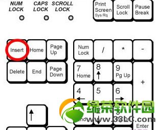 word����ʱ���������ʧ�������� word���ֺ��������ʧ��ΰ�