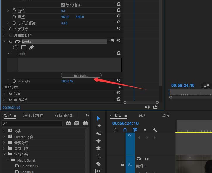 premiere���ʹ��looks���