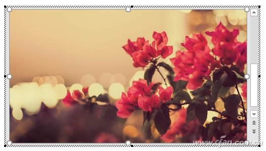 PPT·�� ����ͼһЩ����