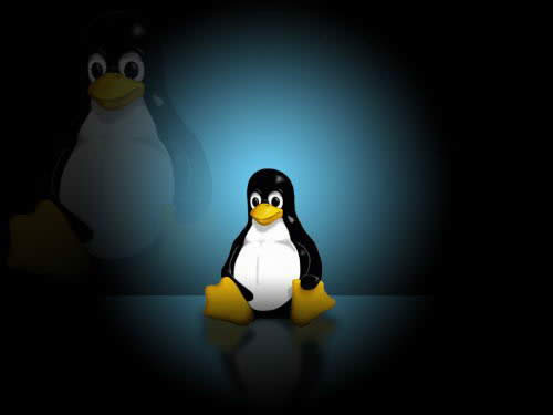 Linuxϵͳ���ֳ����������