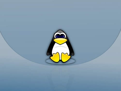 linuxϵͳ�����·���IP��ַ�ķ���