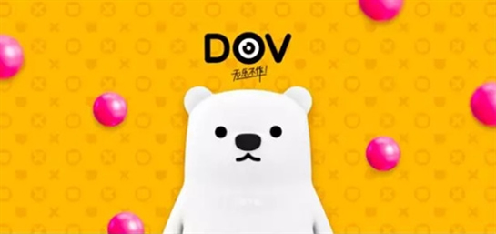 DOV��ʲô DOV�����