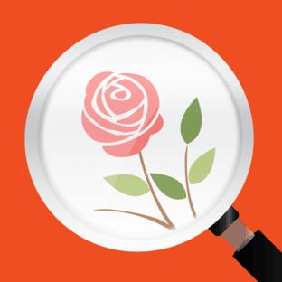 ���ղ黨������ʲô 3��ʶ������App����