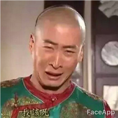 FaceApp����� FaceAppʹ���淨����