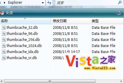 ɾ��Vistaϵͳ�����õ�����ͼ�ļ�