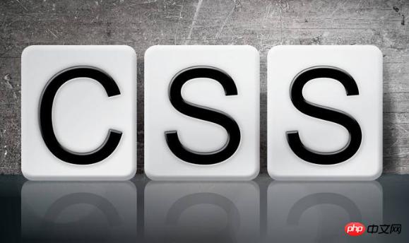 Ϊʲô�������css����ʧ�ܣ���α�֤css���سɹ�
