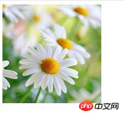 ���ʹ�ô�css���Բ��ͼ�񣿣����밸����