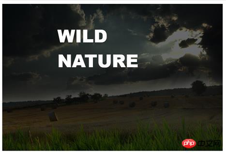 ���ʹ��css��λhtmlԪ�أ�����ʾ����