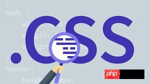 css��������ʽ��CSS������ʽ������ã���������