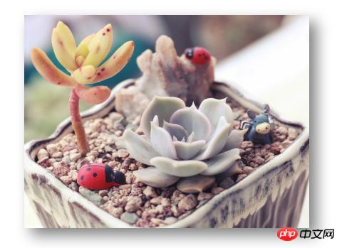 css��θ�ͼƬ������ӰЧ����ͼƬ������Ӱ��2�ַ��������밸����