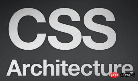 ���ʹ�ô�CSS�ı�html��radio/checkboxĬ�ϱ�����ɫ��ʽ