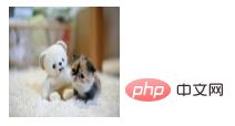 jQuery��attr��prop֮����ʲô������