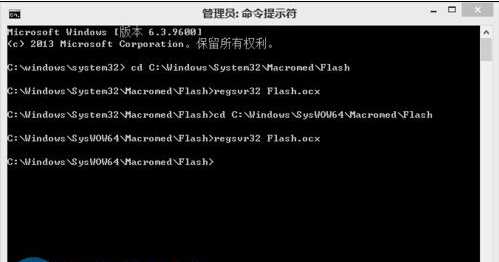 Win8ϵͳ��δ���������޷��Զ�����Flash����ķ���