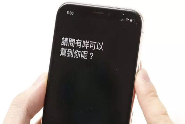 iPhone Xʵ��С���ɻ���
