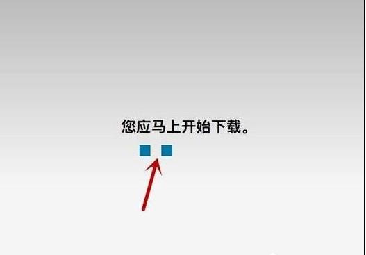 Mac OSϵͳPPAPI���δ��װ�Ľ������