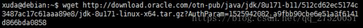 Debian 9.4 ϵͳ��װ��Jdk�ȹ��߰�װ����