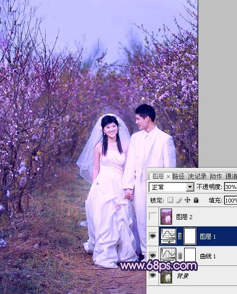 Photoshop调出桃林婚片艳丽的紫红色