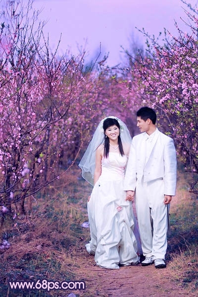 Photoshop调出桃林婚片艳丽的紫红色