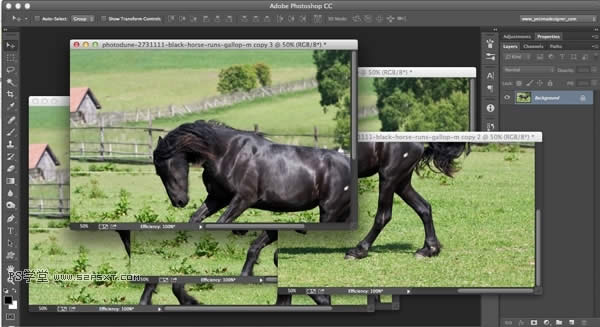 PhotoShop�����Ż� 