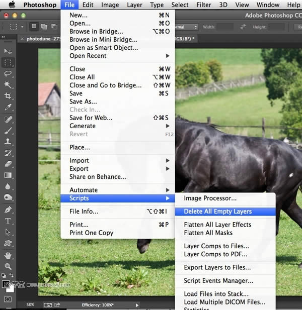 PhotoShop�����Ż� 