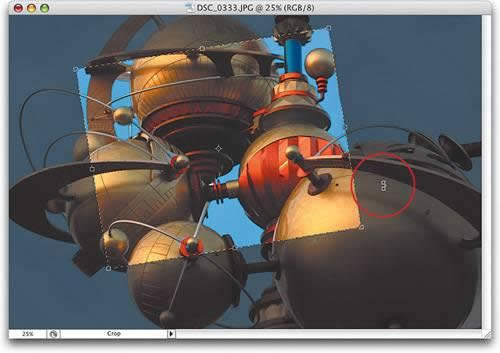 Photoshopϵ�С����ü�ͼƬ 