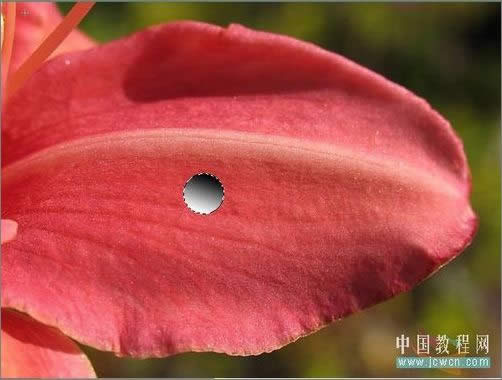 Photoshop���ɻ�����Ҷ�ϵ�¶��_�ű�֮��jb51.net����