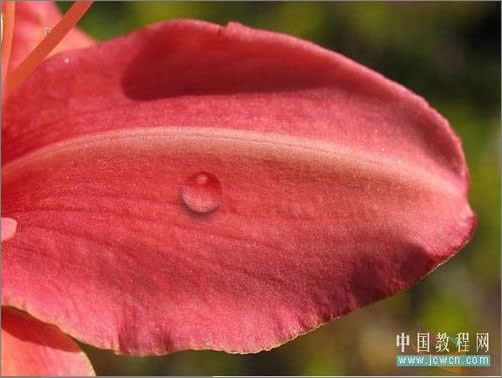 Photoshop���ɻ�����Ҷ�ϵ�¶��_�ű�֮��jb51.net����
