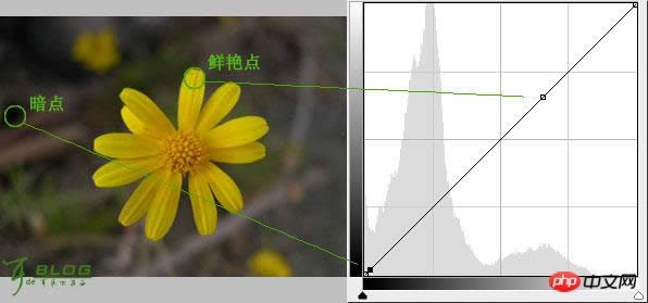 ��ϰPhotoshop�е�������Ƭ��ɫ�̳�