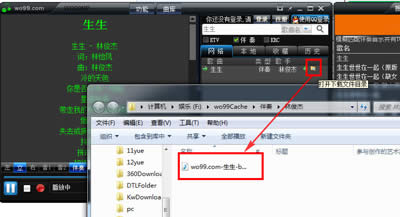 wo99����а�������