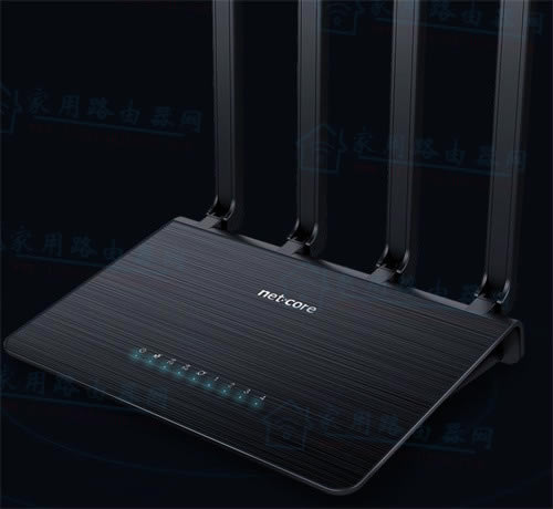 ڿ(Netcore)Power8LָʾB(ti)wx