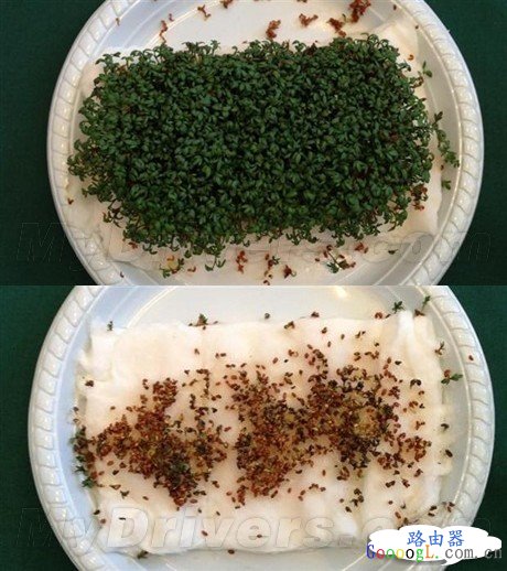 ����·�����������������