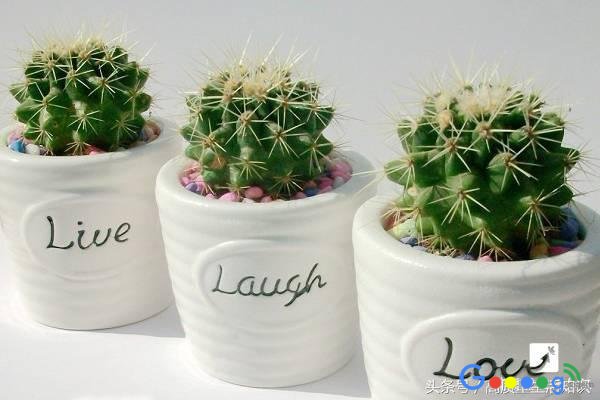 ����˯������Ҫ��Ҫ��WIFI����4��������һ��Ҫ֪����