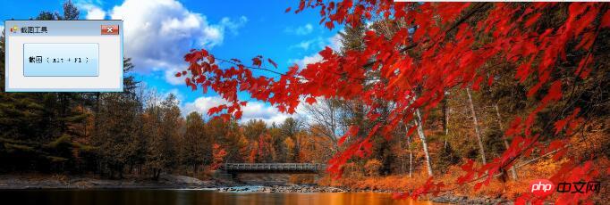 ��΢�ŵ��Զ˽�ͼdll����ʵ��΢�Ž�ͼ����