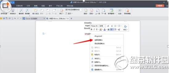 wordӢ����ĸ���沨����ȥ������5