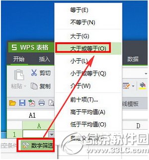 wps������ôɸѡ���� wps����ɸѡ�������ý̳�2