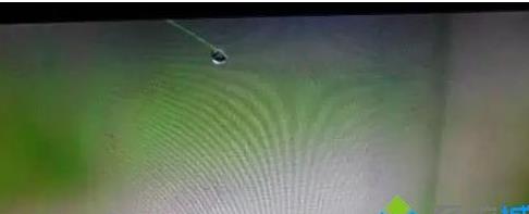 ������ʾ�����滨��һֱ�����������޸�����