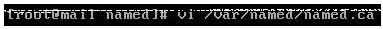 Linux��CentOS����װDNS������
