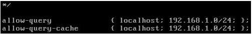 Linux��CentOS����װDNS������