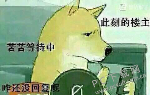 lz是啥意思?