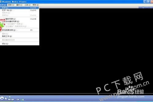 windows media player��β���mp4��