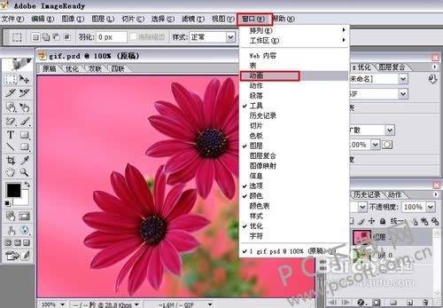 adobe imageready cs2��ô��gif��