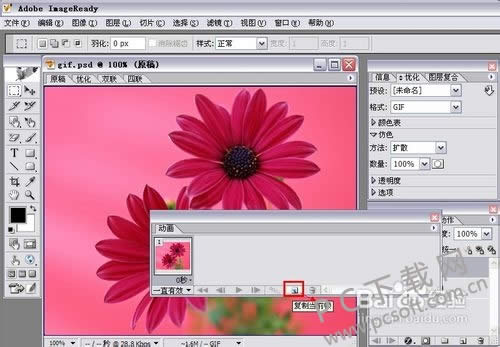 adobe imageready cs2��ô��gif��
