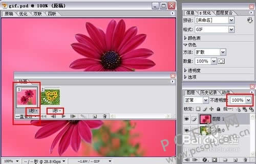 adobe imageready cs2��ô��gif��